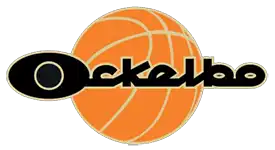 Bolaget Ugglebo sponsrar Ockelbo Basket